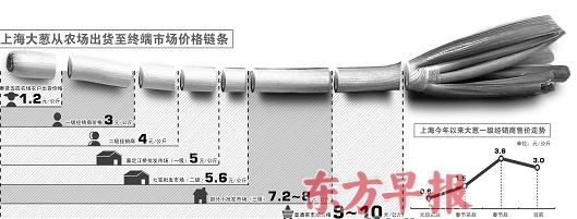 葱价暴涨调查：流转7次贵了7倍 有经销商大赚千万