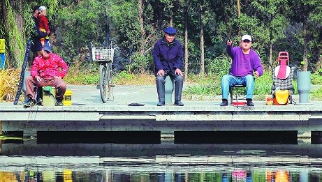 郑秉文：用职业年金制度推动养老金同步改革