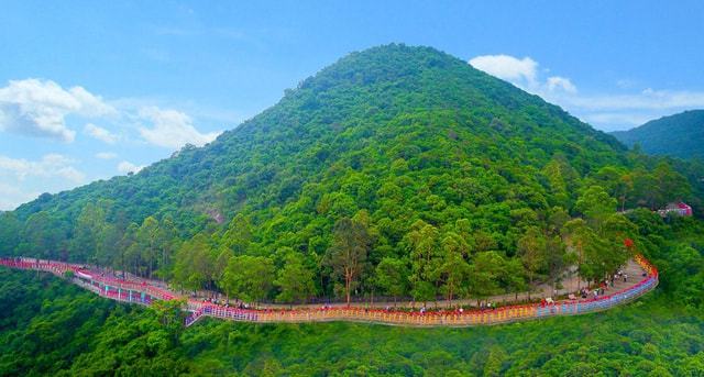 东莞知名景区人为毁林违建长达近20年，毁林面积累积近2000亩