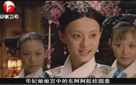 后宫剧《甄嬛传》：一部阿胶植入的宫廷戏