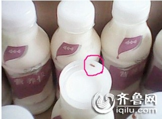 娃哈哈营养快线瓶内现活蛆? 厂家:流通不当造成